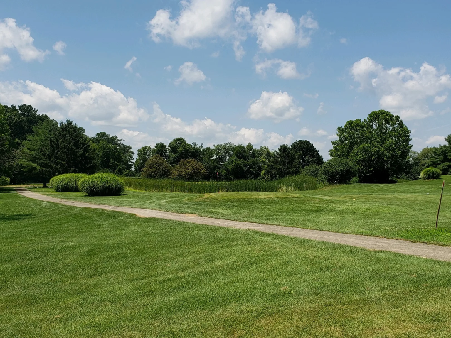 Cart path on golf course